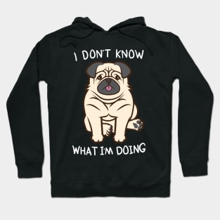 I Don't Know What I'm Doing Hoodie